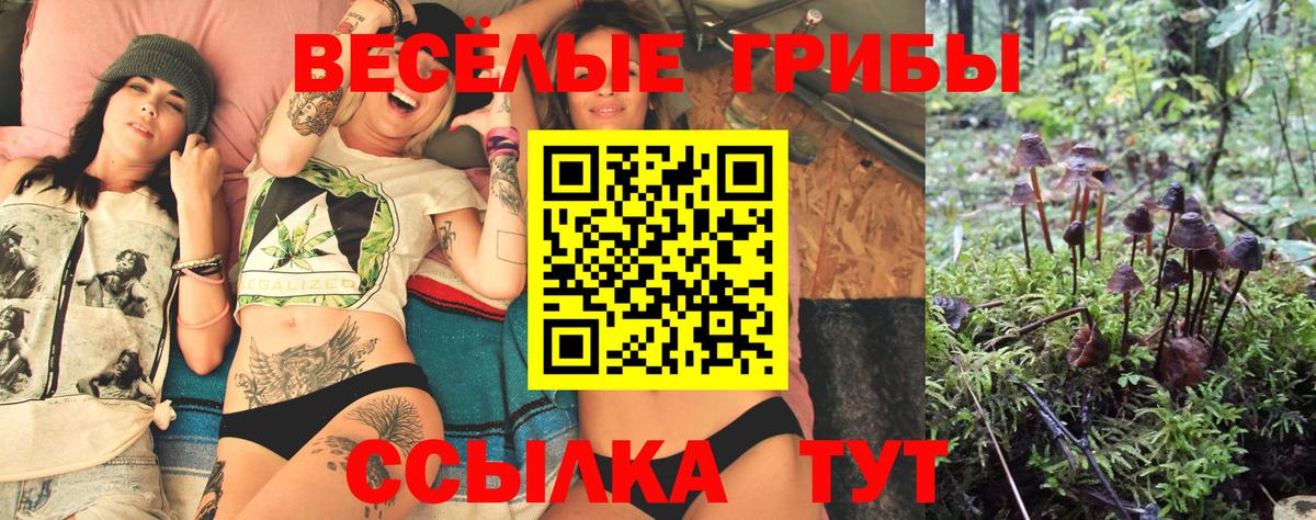 Псилоцибиновые грибы прущие грибы  купить наркотики цена  Санкт-Петербург  Вход с VPN 